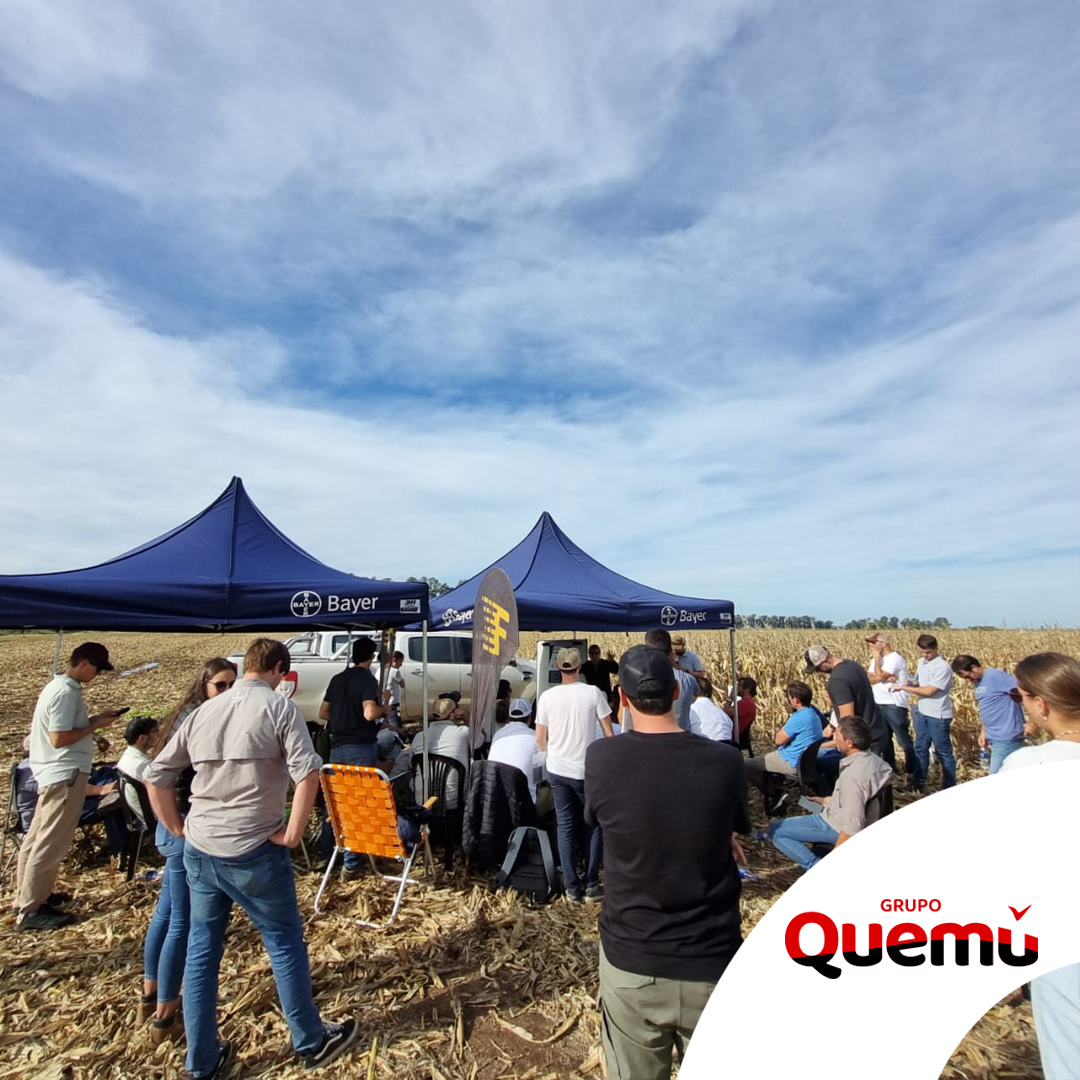 Fullagro de Grupo Quemú tweet media