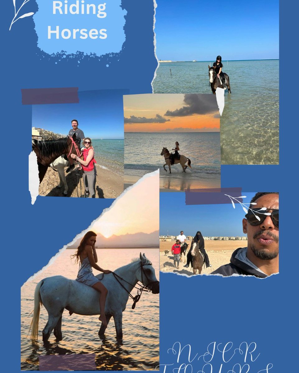 Are you ready for an unforgettable trip through Egypt?🇪🇬 Call now +20 120 447 6050 Nice tours the best 🫶🏻🧡 Hurghada Horses 🐎🐎❤😍 E G Y P T ❤🤍💛🧡💚 #beautiful #collective #explore #egyptology #upper #celebrity #crocodile #great #grand #socialmediamarketing