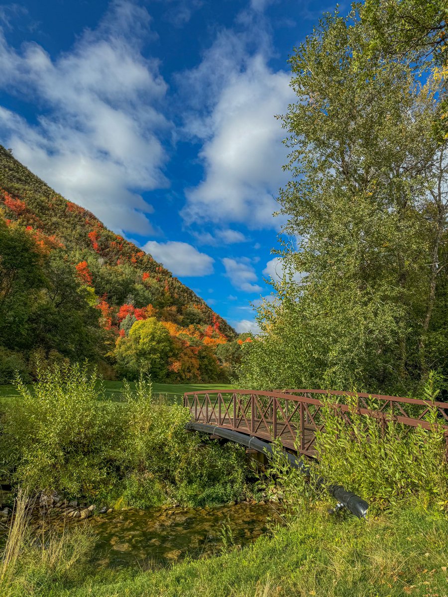 Cameron Lilly tweet media