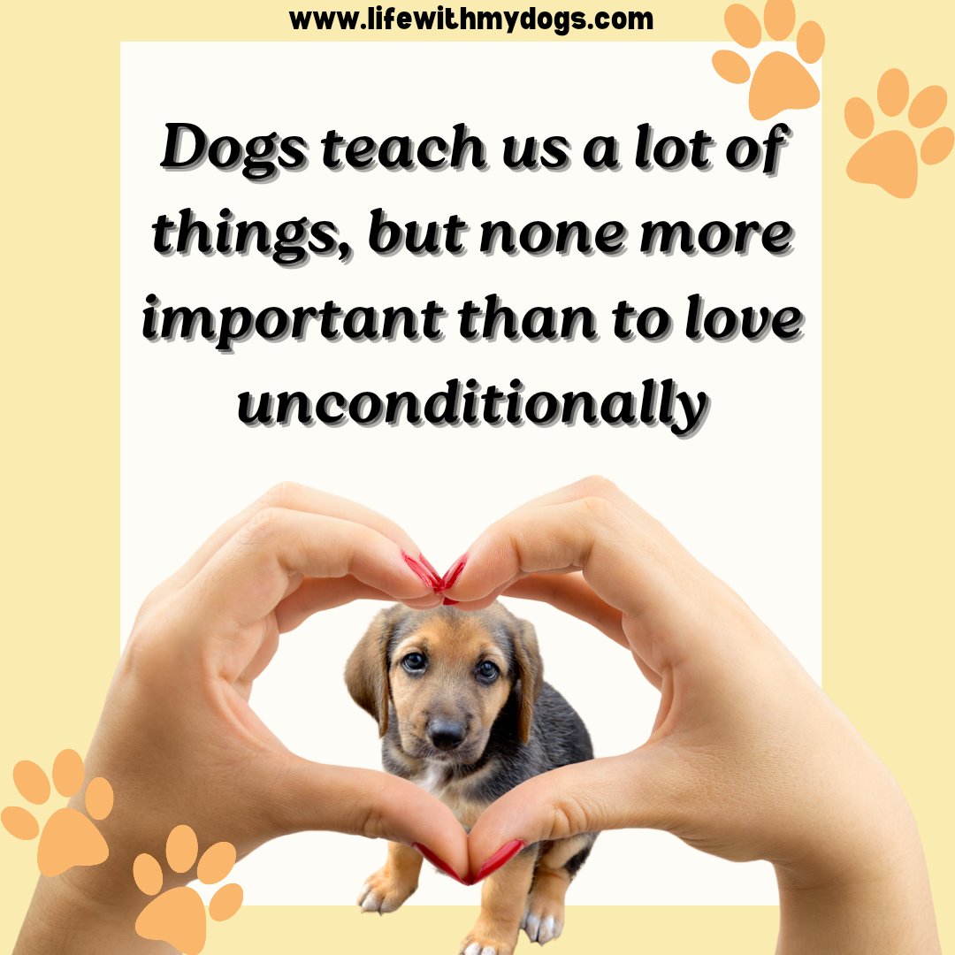 Love without conditions! Unconditional love, one paw at a time. 🐾🐶💓 For more detailed information, visit lifewithmydogs.com #pawlove #dogs #fureverfriends #pawsoflove