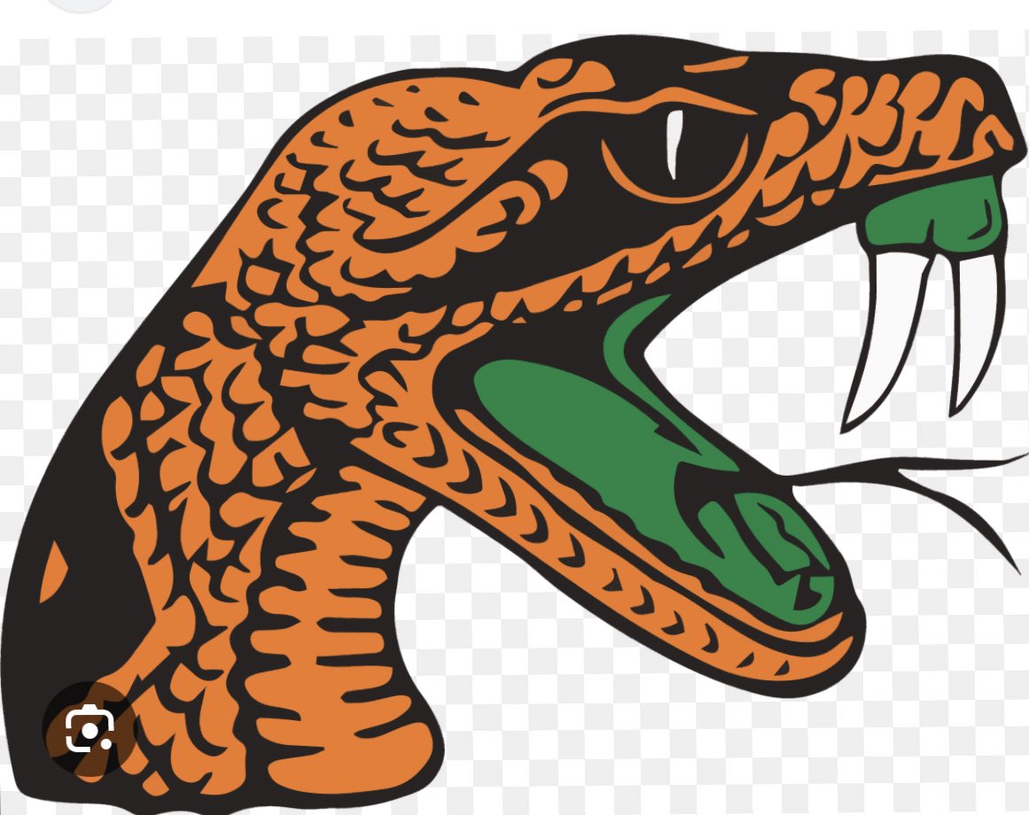 Beyond blessed to receive an Offer from Florida A&M University🧡💚#AGTG✝️🙏🏽 @CoachPatt_212 @LMHS_HawksFTBL