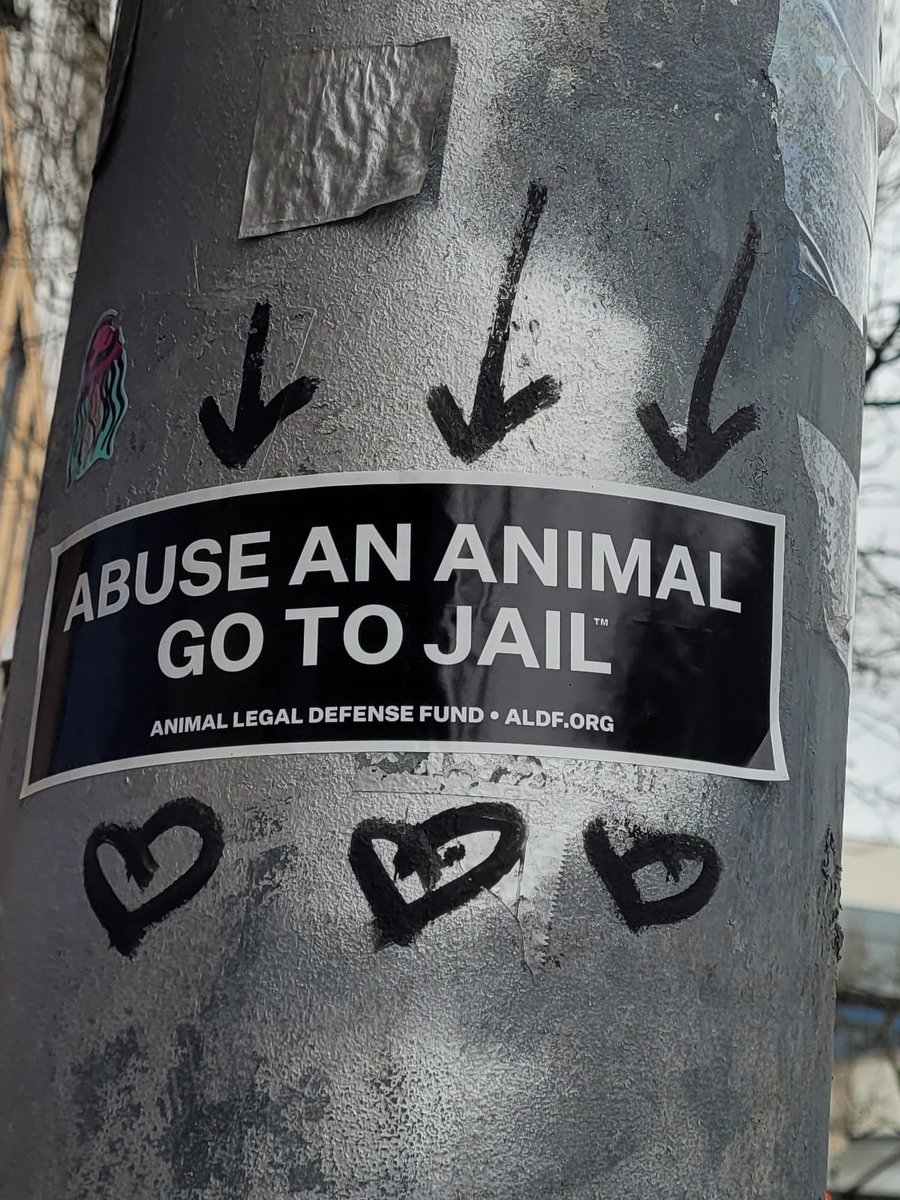 StickerdSeattle's tweet photo. https://t.co/1VnrYmt8cI