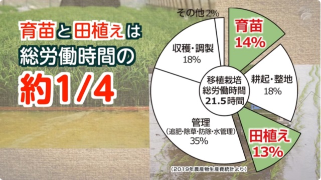 日本の米作りの多くの場合、あらかじめ育てておいた苗を田んぼに植える「移植栽培」が行われます。 最近、苗作りを省略し、田植え作業を行わないで田んぼに直接種をまく「直播栽培」が行われるようになってきています。 参考：広報誌「NARO」No.7 naro.go.jp/publicity_repo…