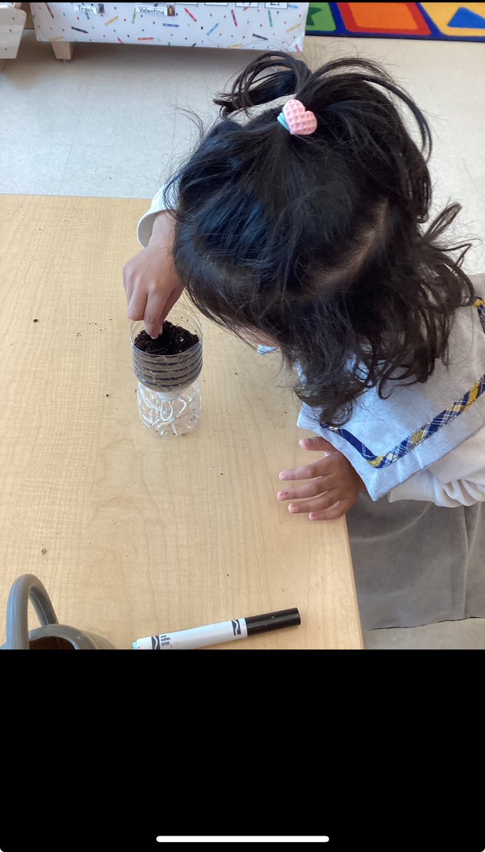 Q369 Students planted seeds in repurposed self-watering water bottle planters. They created seed markers by creating an observational drawing of their plant and labeling it with the name of their plant. @EDSSOofD24 @NYC_District24 @NYCBrightStarts