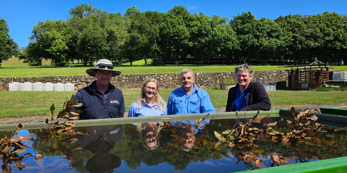 DPI & @AusMacadamias hosted a flood recovery workshop to share initial findings of research into flood impacts on macadamias. This was possible through the Early Needs Recovery Program, part of the Primary Industries Support Package co-funded by Australian & NSW Governments.