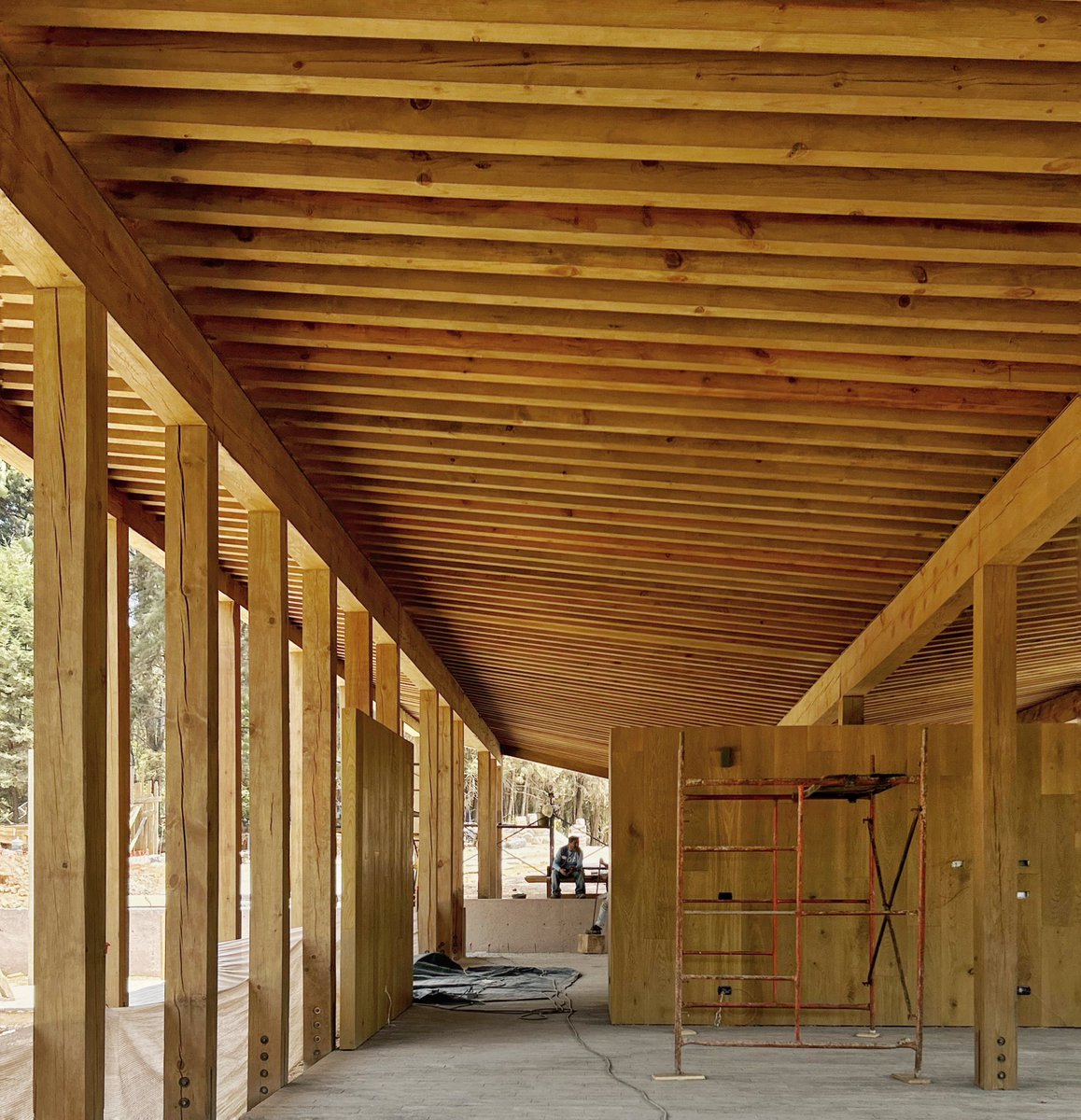 Estructura de madera de pino , avance de obra