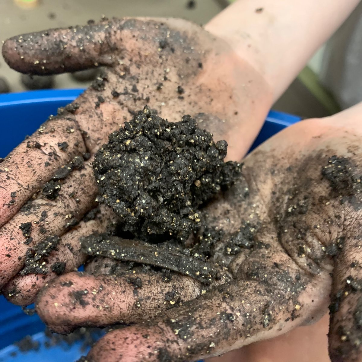 MsMcVey3's tweet photo. With Earth day coming up, @WardeRoseOmar and I invited our S’s to a sensory experience building wild flower seed bombs. 100% recommended. #earthday #orcaproud https://t.co/7k4NH2JxBJ