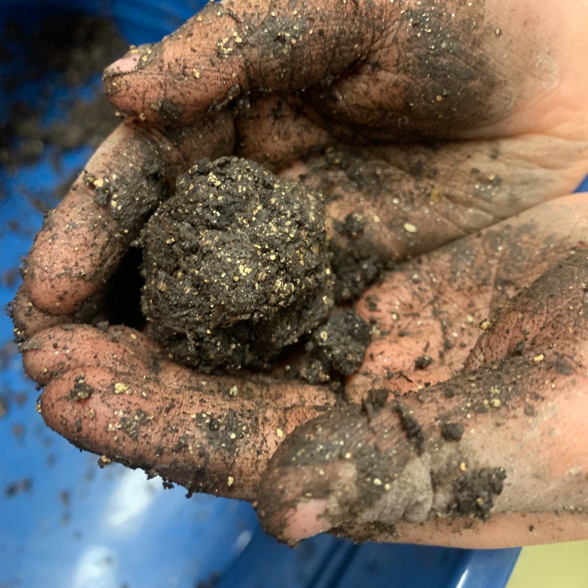 MsMcVey (@msmcvey3) on Twitter photo With Earth day coming up, <a href="/WardeRoseOmar/">Ms.Omar’s Kindergarten</a> and I invited our S’s to a sensory experience building wild flower seed bombs. 100% recommended. #earthday #orcaproud With Earth day coming up, <a href="/WardeRoseOmar/">Ms.Omar’s Kindergarten</a> and I invited our S’s to a sensory experience building wild flower seed bombs. 100% recommended. #earthday #orcaproud