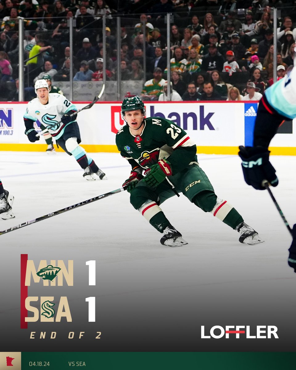 One final frame ➡️ #mnwild x @Lofflercos