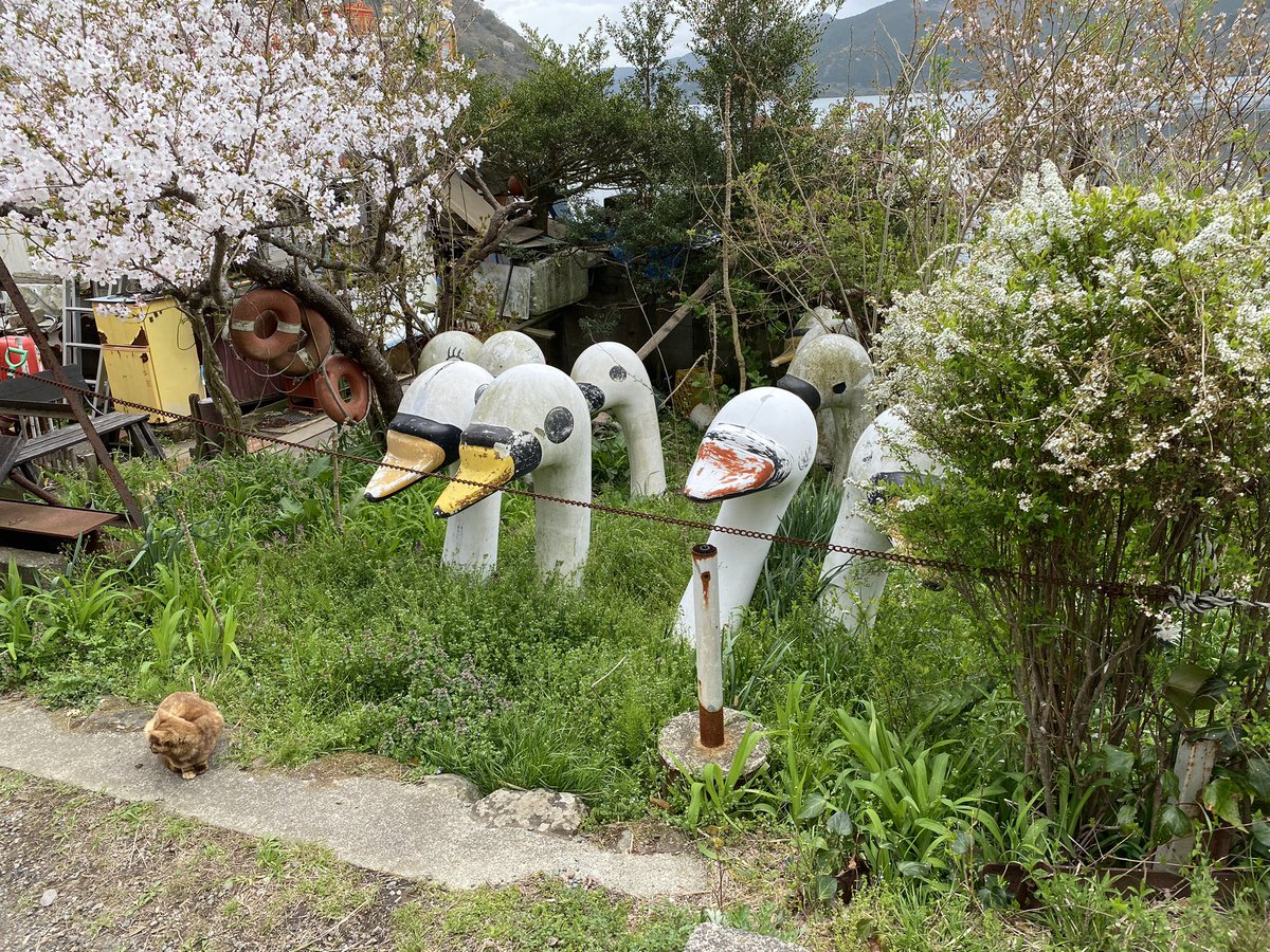 mwdanforth's tweet photo. Yesterday in #japanadventures a pirate ship, some severed swan heads, an oddly parked car, and some roast beef. https://t.co/zakwwr7ZFZ