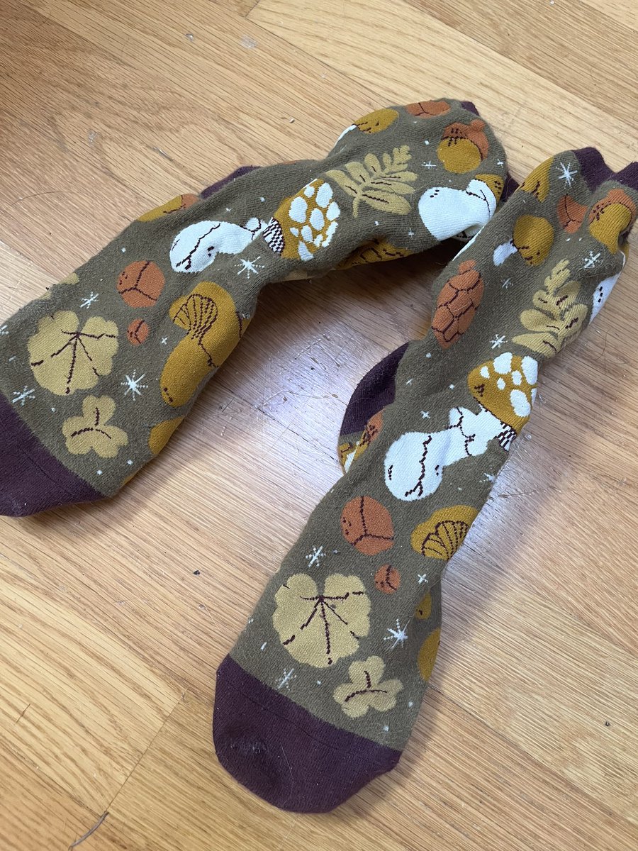 dieingcity's tweet photo. @hankgreen My cat wouldn’t sit still so here are my favorite socks minus a cat https://t.co/L8pxYmHDBh