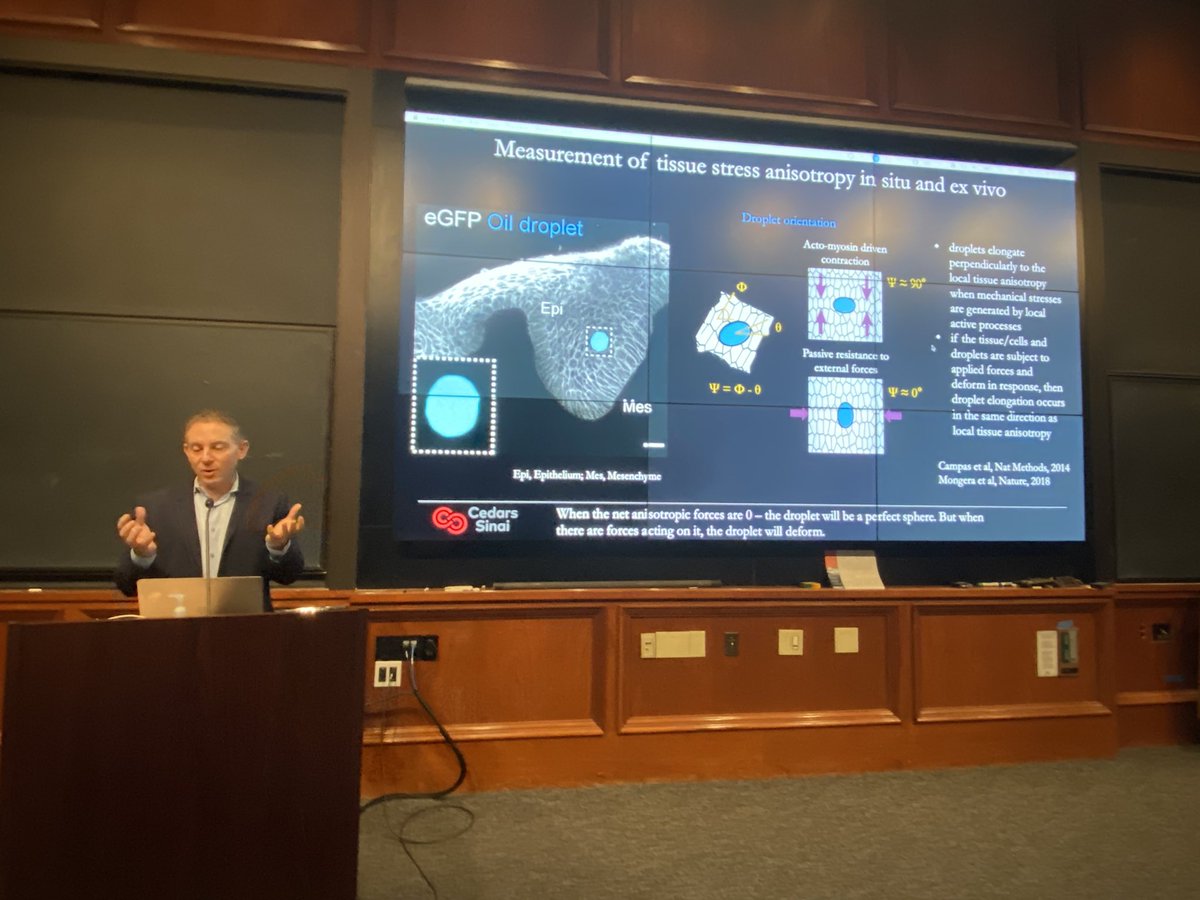 Today’s inaugural @Caltech-@CedarsSinai symposium on #stemcells and developmental biology was a great success. Such stellar science! 🙏 @OphirKlein, @BronnerMarianne, @ZernickaGoetz and @Jeff_golden1 for organizing. @SmidtHeart @CedarsSinaiMed