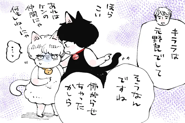 🐱キラキラにゃんこ生活
キララ警戒中😾 