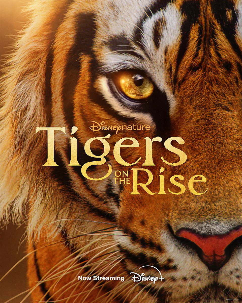 Disneynature’s “Tigers on the Rise,” a companion film to #Tiger narrated by Blair Underwood, now also available on @DisneyPlus. 🐅