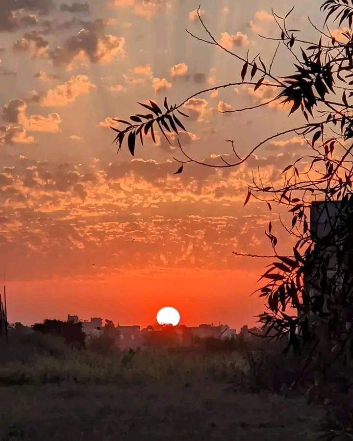 திருச்சி ஜின்னா 🖤❤️ tweet media