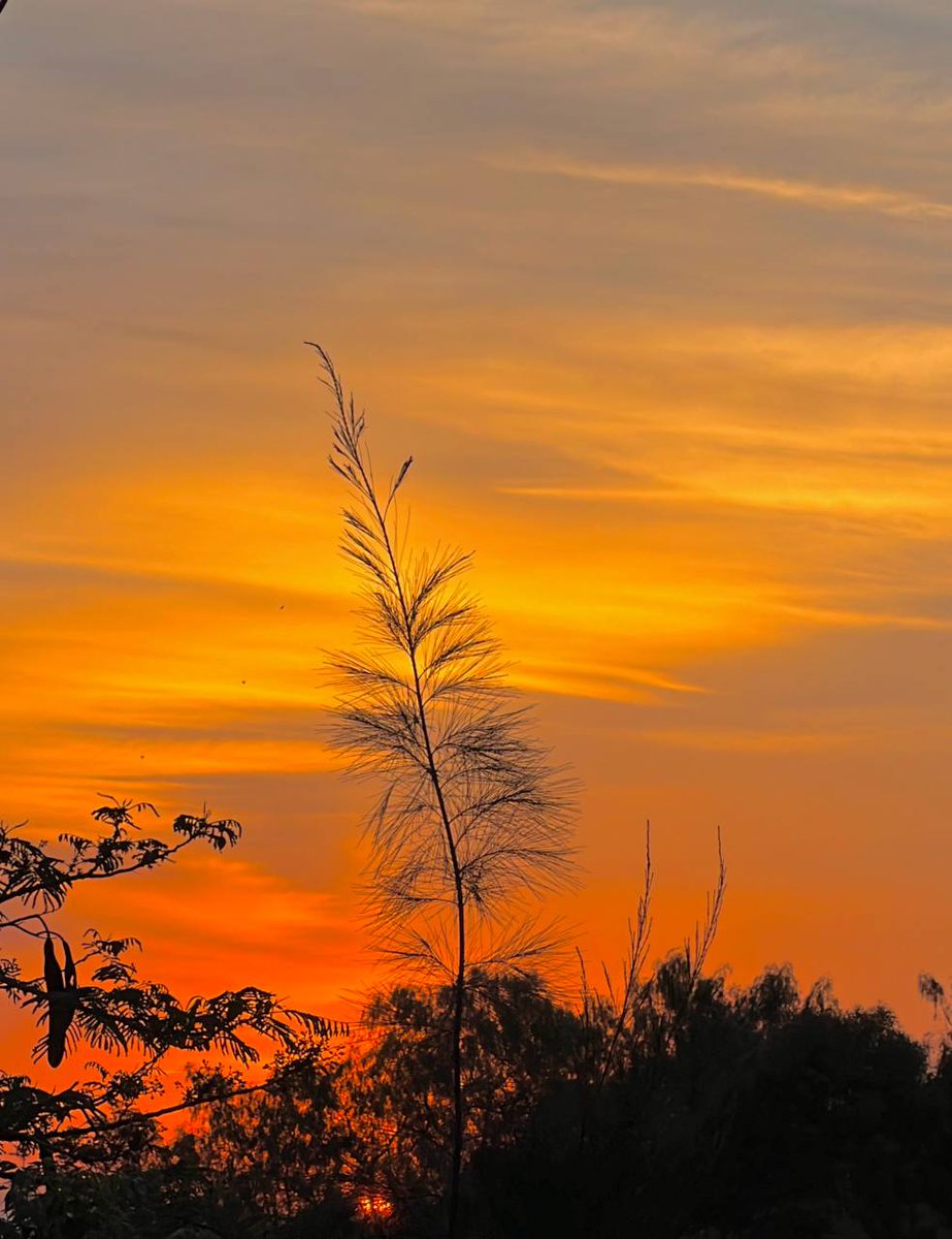 Un nuevo atardecer, un nuevo día y un México Nuevo. #ElFuturoEsNaranja 🧡