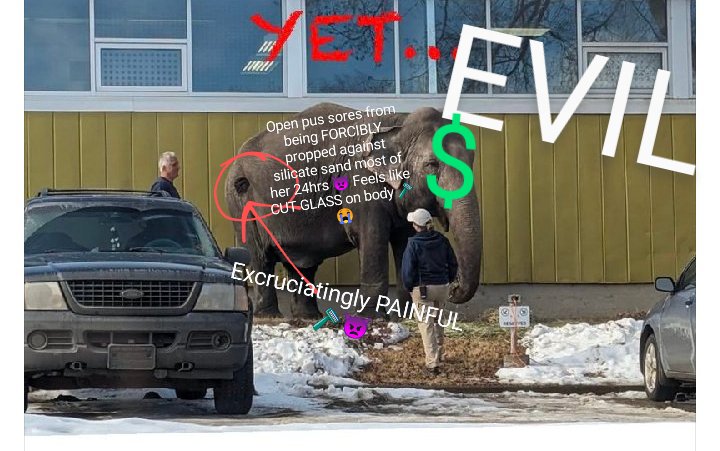JulieKi53713414's tweet photo. Meta AI @metaai helped me do it
๐จ๐ฆ๐โ๏ธ๐ฅถ๐ก๏ธ7 to 8 month$ EVERY YEAR $ince 1977, Edmonton Valley Zoo PURPO$EFULLY METHODICALLY hurt$ poor preciou$ Lucy in UNIMAGINABLE MENTAL & PHY$ICAL way$ for #MONEY... & LIE thru their TEETH every $tep of the way until they KILL her ๐โ ๏ธ๐ฅ๐ค๐ฟ https://t.co/cOrypI3YGb