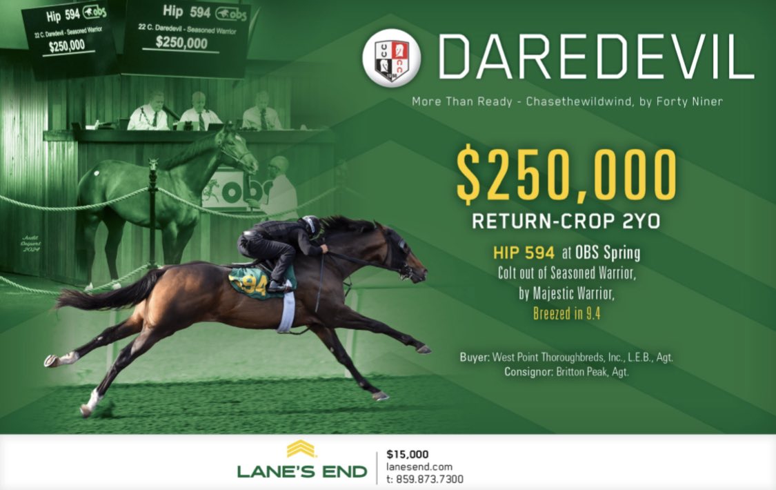 $250,000 for a 2YO colt from the return-crop of @LanesEndFarms’ DAREDEVIL 😈 #OBSApril