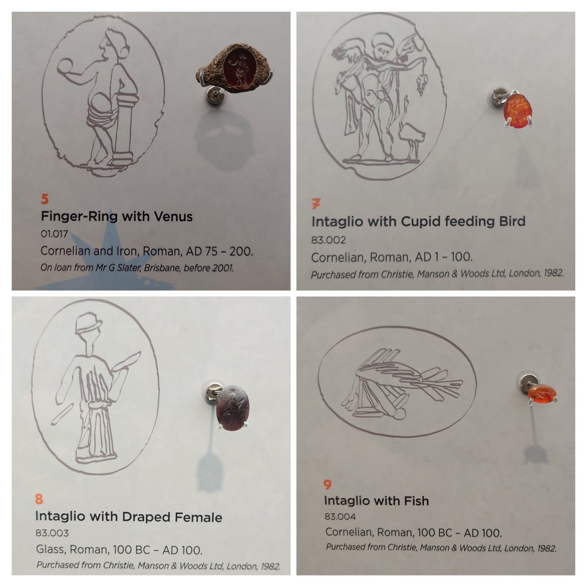 Michael Fong tweet media