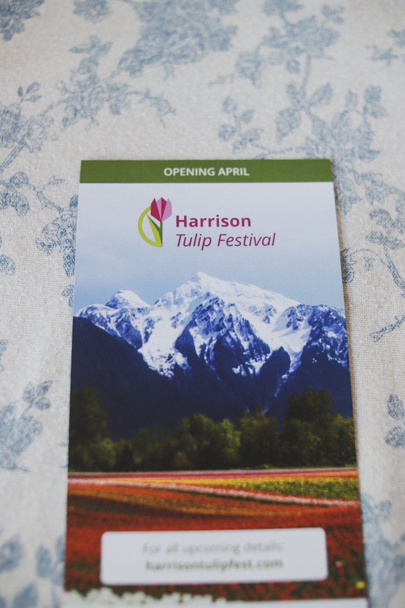 These tulips came from the fields @harrisontulipfest ! 🙌  We wanted to say a great big THANK YOU to the Onos family for the work they do to bring more beauty into the world (and more tourism traffic in our direction!).
