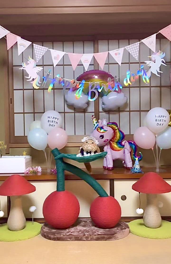 hinako_munchkin's tweet photo. ひな、今日4歳のお誕生日🥺❤️🎂 https://t.co/JHmrC2jCUN