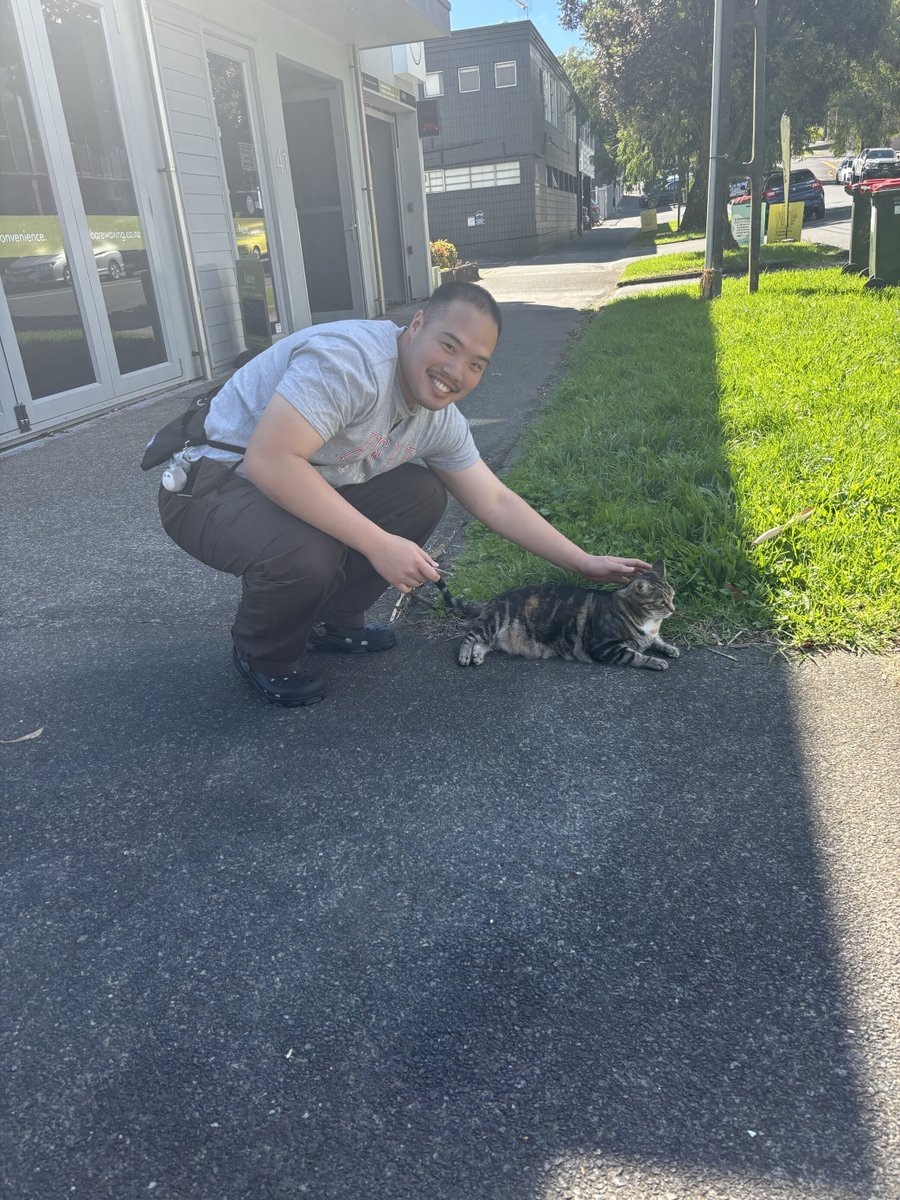 The Attention Seeker tweet media