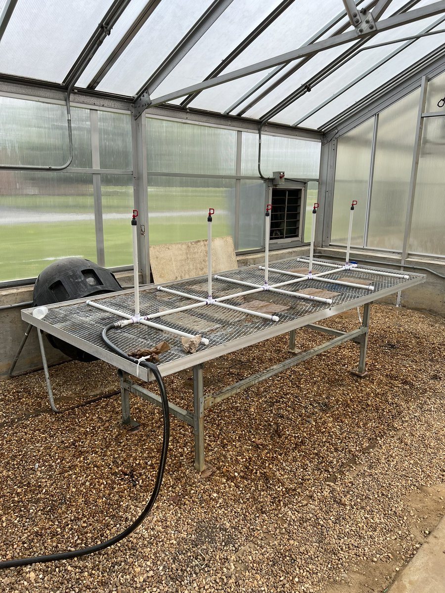 Built my first mist bench and getting ready for first experiments!!! #newPI #horticulture #plants