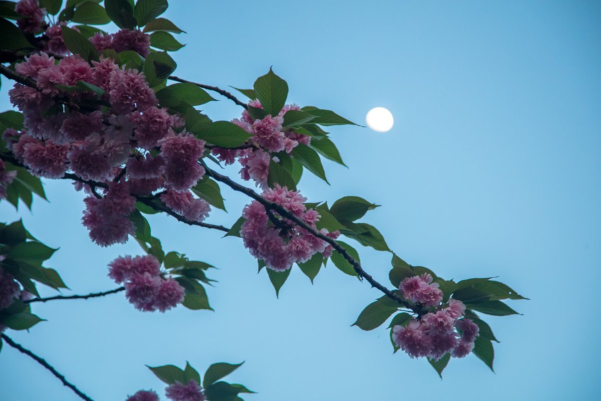 Wow! It was the perfect night to look at the moon with our friends and neighbors. Thanks to everyone who came out for the #NeighborhoodLecture.