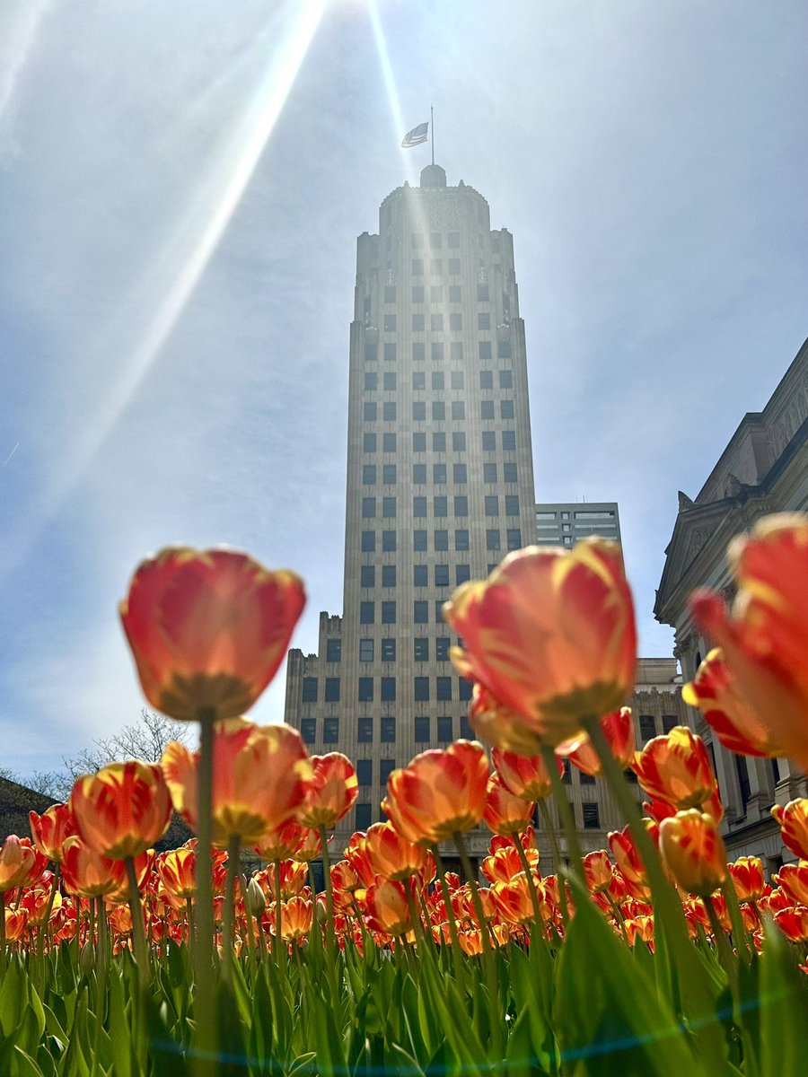 It has been simply gorgeous in downtown #FortWayne this week. This photo is also titled, “The reason why I will discover next week that my phone camera doesn’t work anymore.” #spring @VisitFortWayne