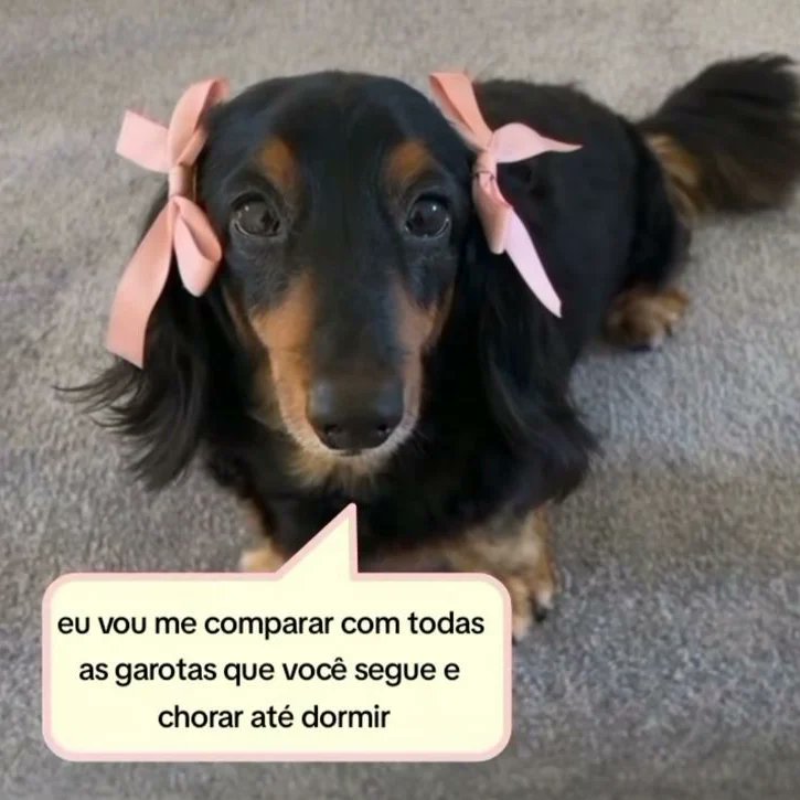 Jon - perfil dedicado a gatinhos e peitos tweet media