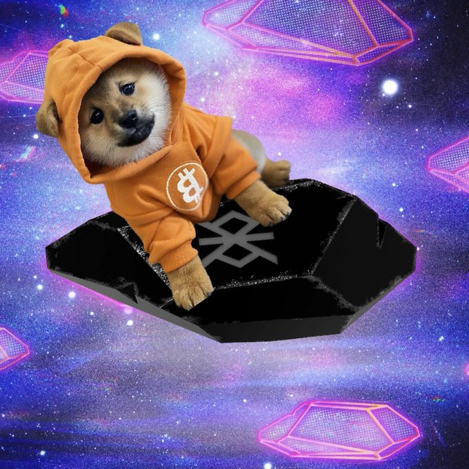 @ord_io $DOG BRC 20 is coming! 🚀 Visit public sale and buy some $DOG before listing starts presale-rune.dog Dog's mission is to become the #1 memecoin on planet earth and onboard millions of people to Bitcoin. Presale will closes after 48h. Don`t miss out! 🔥