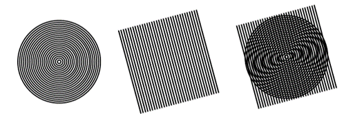 KnerLab's tweet image. We are hiring! Work on cool Structured Illumination Microscopy projects. Apply here: ugajobsearch.com/postings/363630
