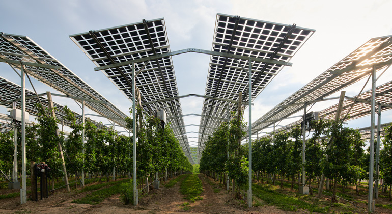 Mehrheit der Landwirtinnen und Landwirte sieht Agri-Photovoltaik positiv dlvr.it/T5j159