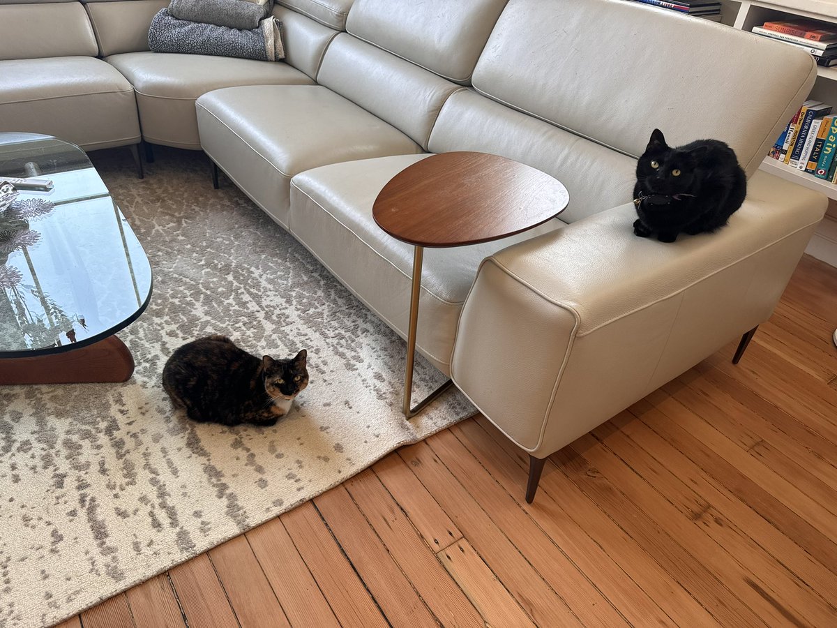 Krishna Komanduri, MD, FASTCT tweet media