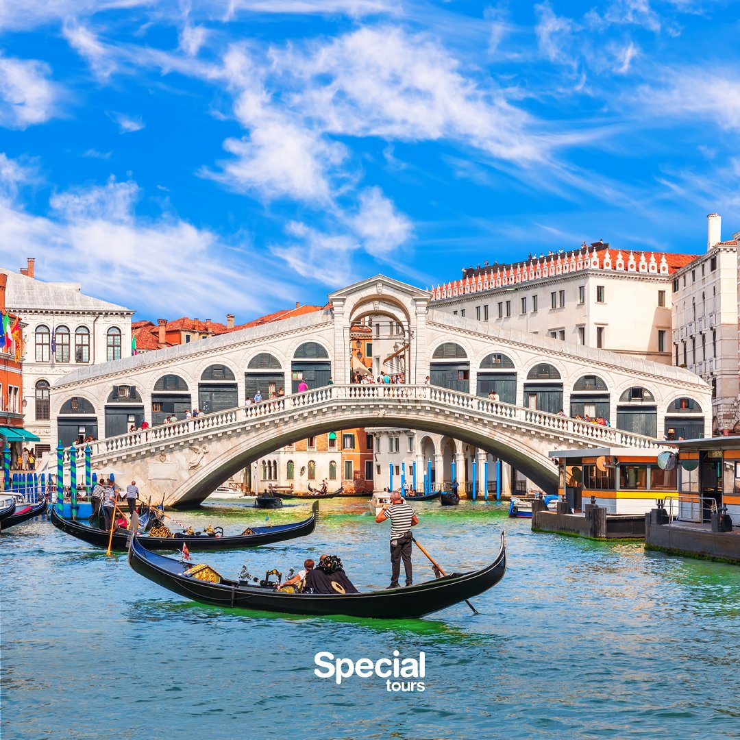 Special Tours tweet media