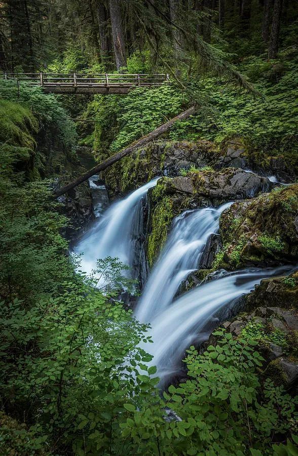 Photography from Washington State is great way to decorate your walls. #art #landscapephoto #photography #olympicnationalpark   #wallart #art4sale #Washington 

Tap here for details and pricing  buff.ly/3Q1yIZZ