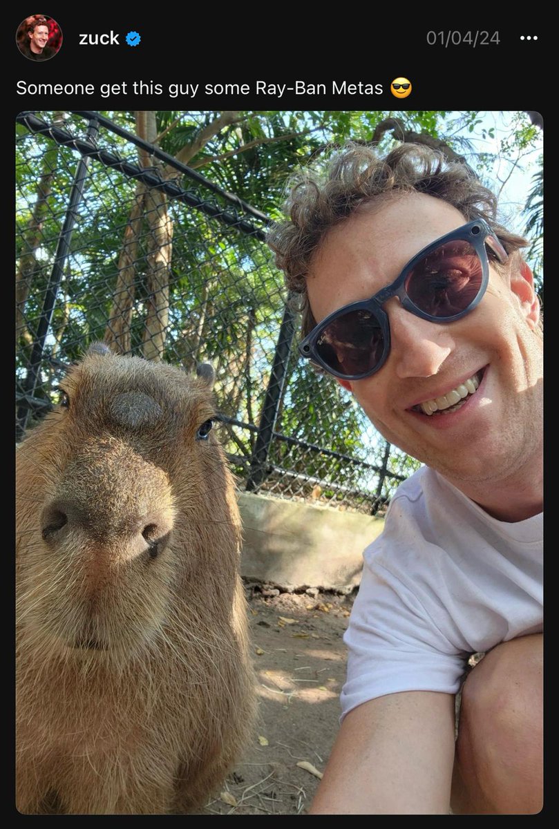 Capi_on_sol's tweet photo. Picture this: a tweet by Mack on the Thread app in Jan sparked a hilarious exchange. Zack mentioned getting a hamster a pair of Ray-Ban shades. In response, a playfully edited picture of a nice-looking hamster rocking those iconic shades appeared. And boom, $RayBanMetas was born https://t.co/45RMVx7PU2