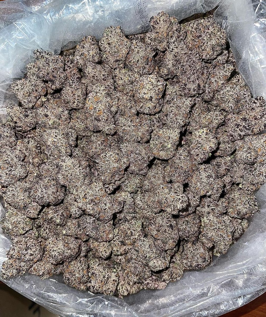 BIGQFARMS's tweet photo. Guess strain Name and get 14grams free for #420 
https://t.co/1eufOZfIw5 https://t.co/9mHX77p8G9