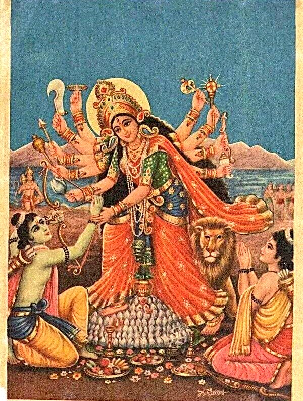 सा विद्या या विमुक्तये tweet media