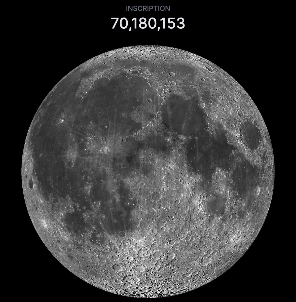 Leonidas 🧡 $DOG tweet media