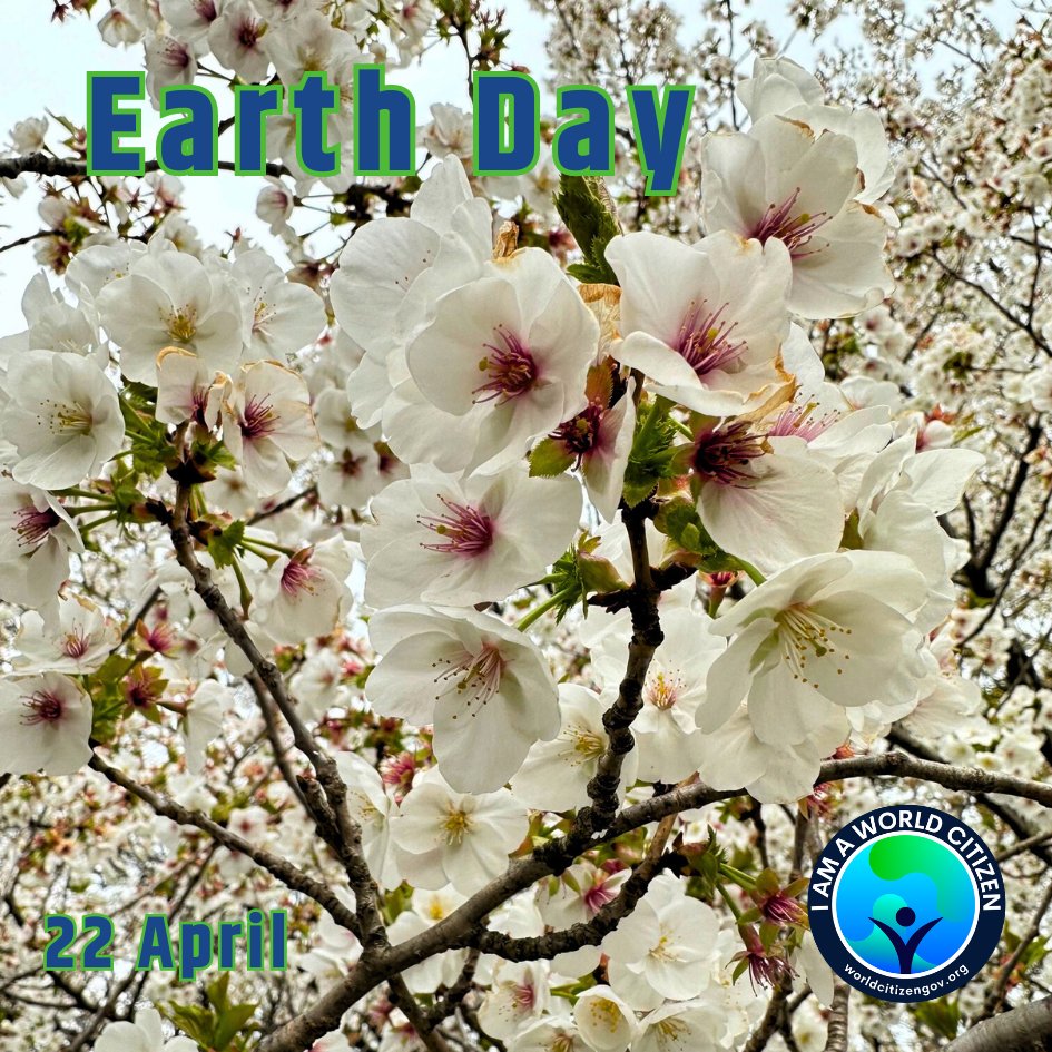 worldcitizengov's tweet photo. Together, as #CitizensOfTheWorld, we celebrate and appreciate the beauty of the home we share.
#EarthDay https://t.co/hfbc2xkmoj