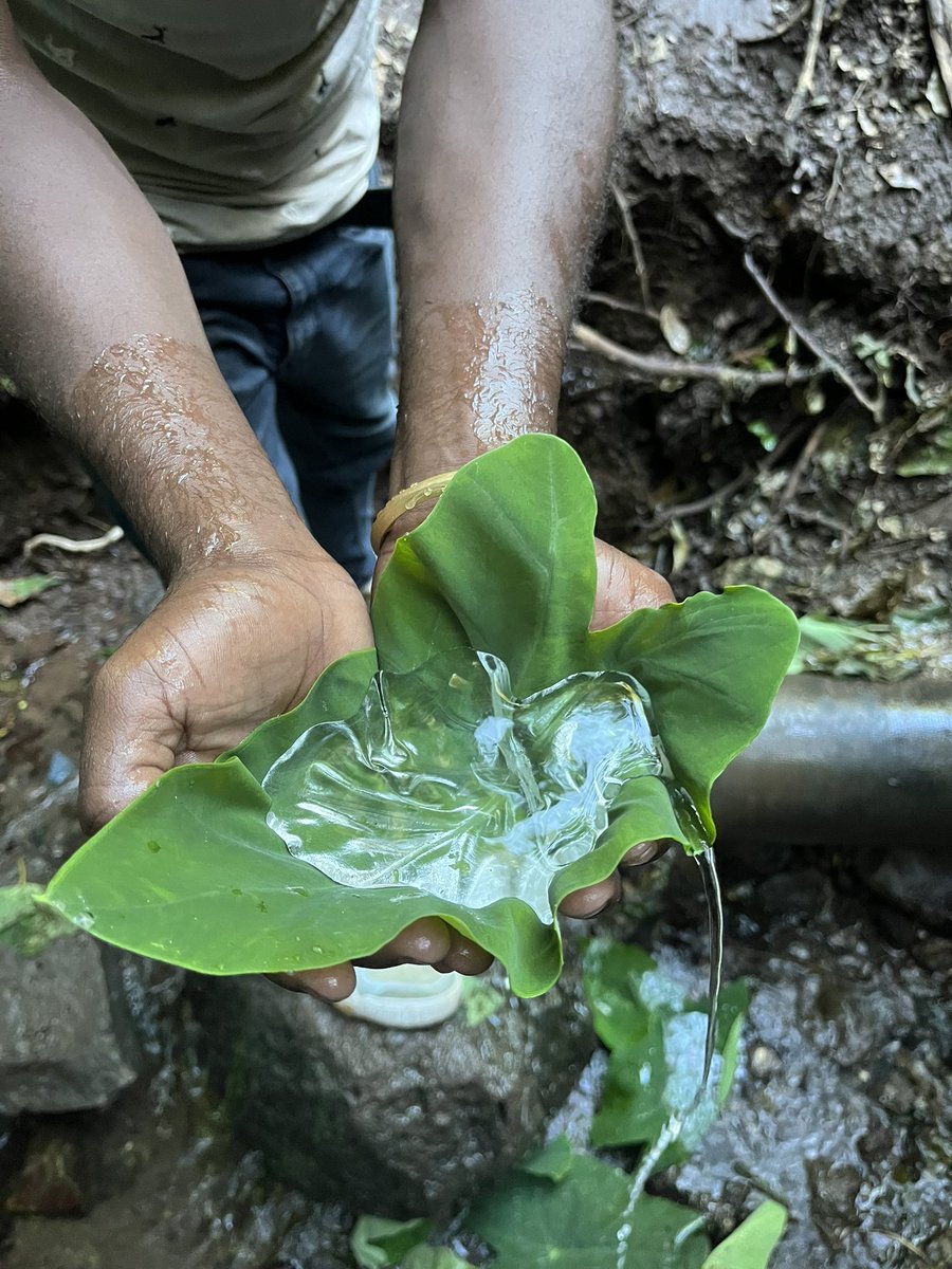 gelilalworku's tweet photo. @NoContextHumans I see your post and raise you the waters of Southern Ethiopia https://t.co/GVBXCwIOsg