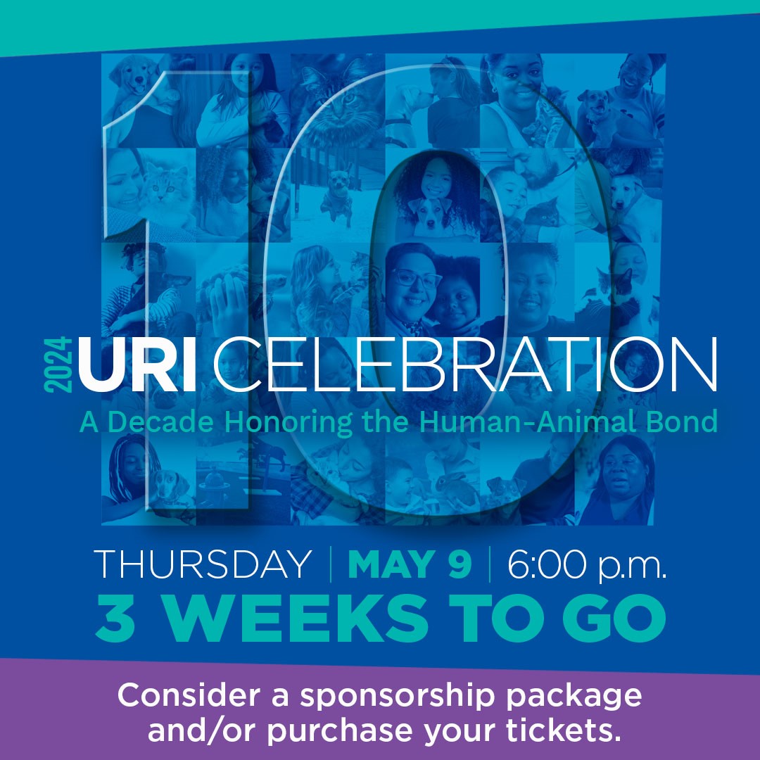 Only 3 weeks until the 2024 URI Celebration! Join us to honor supporters of our mission to end cycles of domestic violence and homelessness, and celebrate 10 years of PALS. Get your tickets or sponsorship package now: bit.ly/46VoLmw #URICelebration2024 #PALS10Anniversary