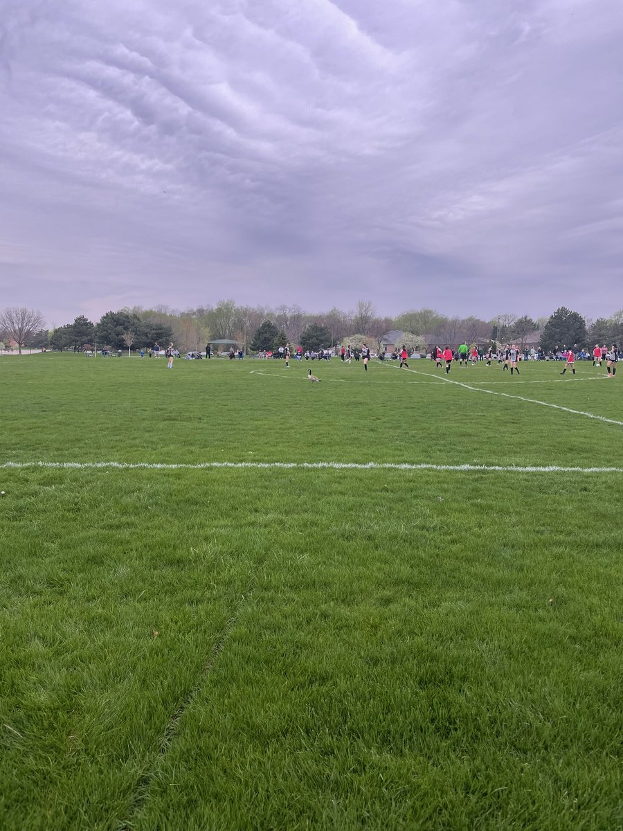 Betsy Flores tweet media