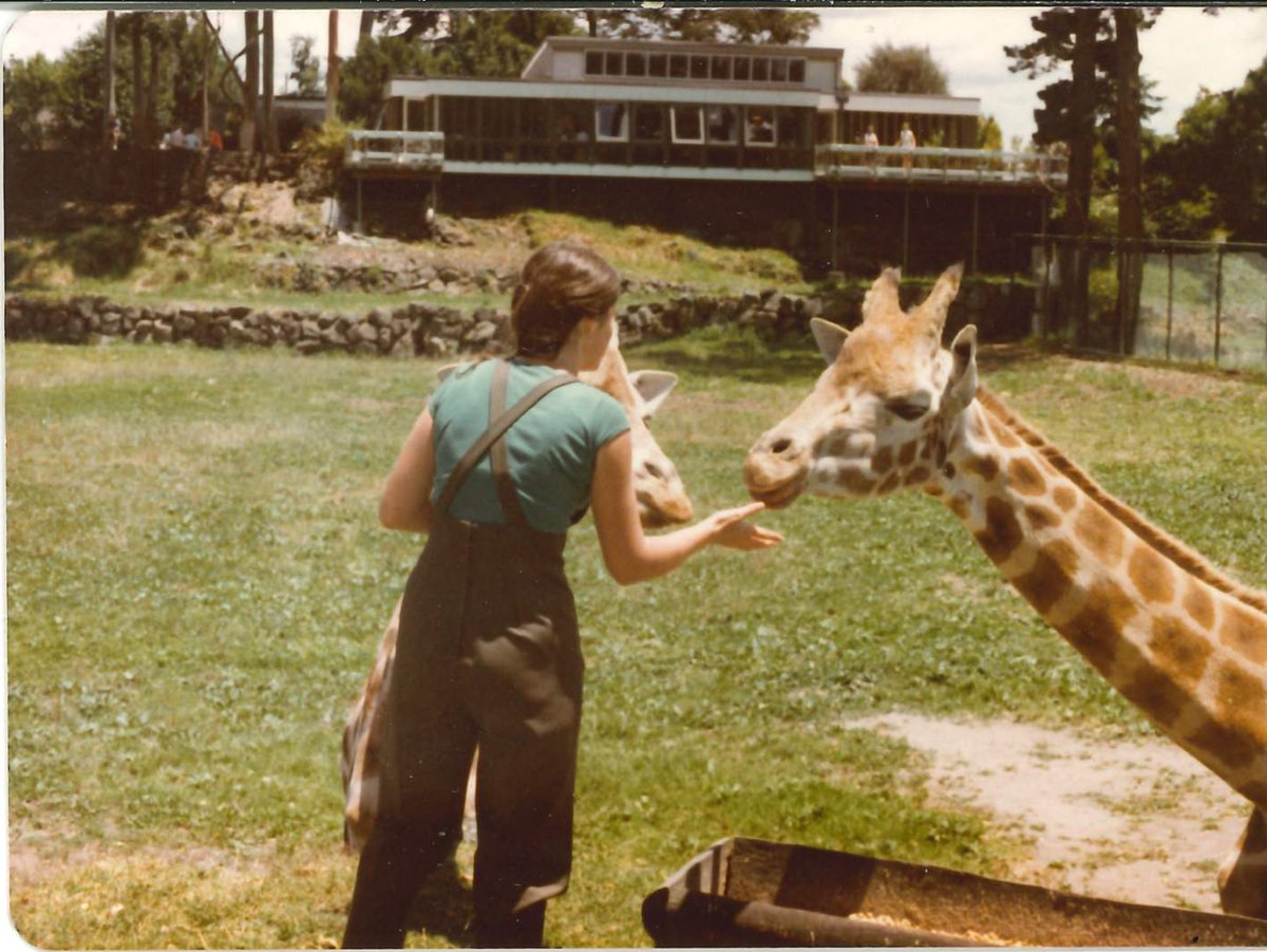 Our much-beloved Christine is retiring from Zoo life after an incredible 44 years with us at Auckland Zoo! Her career began in 1979 as one very excited 21-year-old. Read more about Christine and the changes she’s witnessed at the Zoo here – aucklandzoo.co.nz/news/christine…