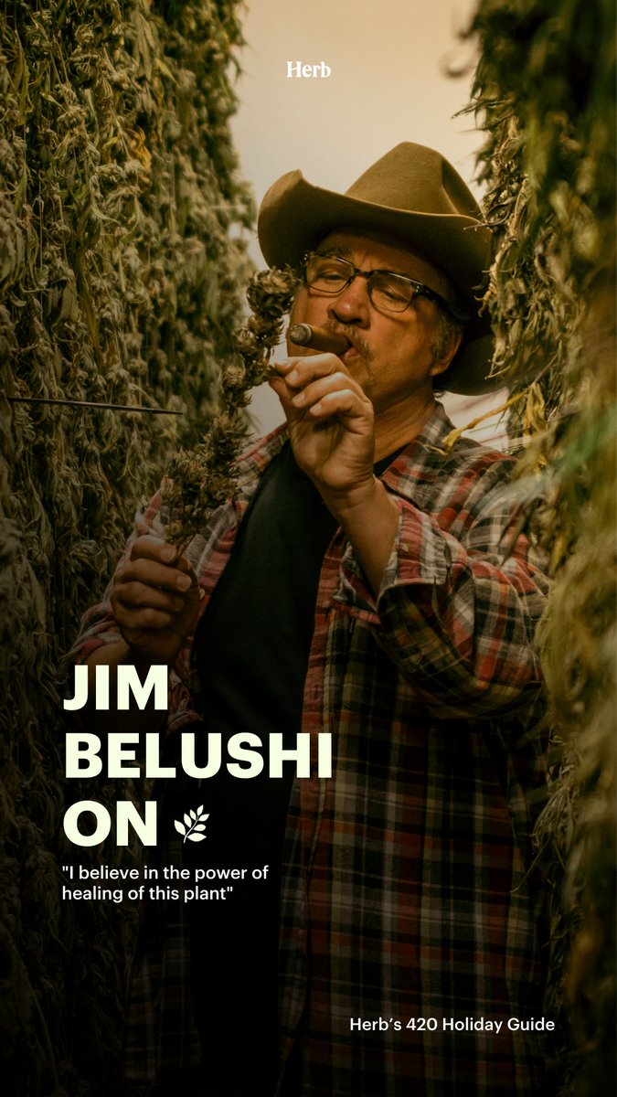 He's healing the world one plant at a time. See our exclusive feature with @JimBelushi in Herb's 420 Guide 💚 bit.ly/3UlHIvw