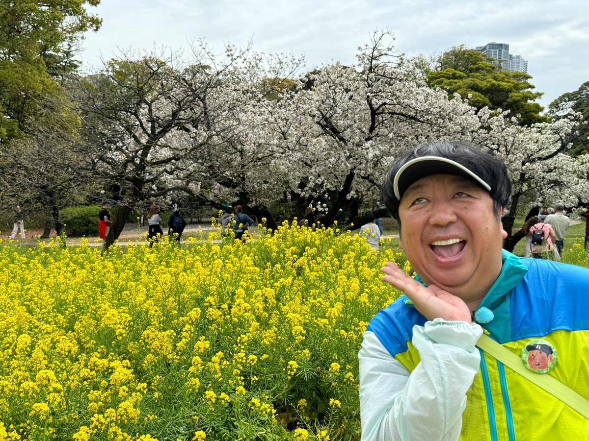 来週は汐留〜浜松町 春の訪れをとても感じながら👟 お花とおそばを楽しむ #ひむ太郎 🐸を お楽しみいただけたらこれ幸いです😉 🔔２３日(火)よる１０時 #ウォーキングのひむ太郎