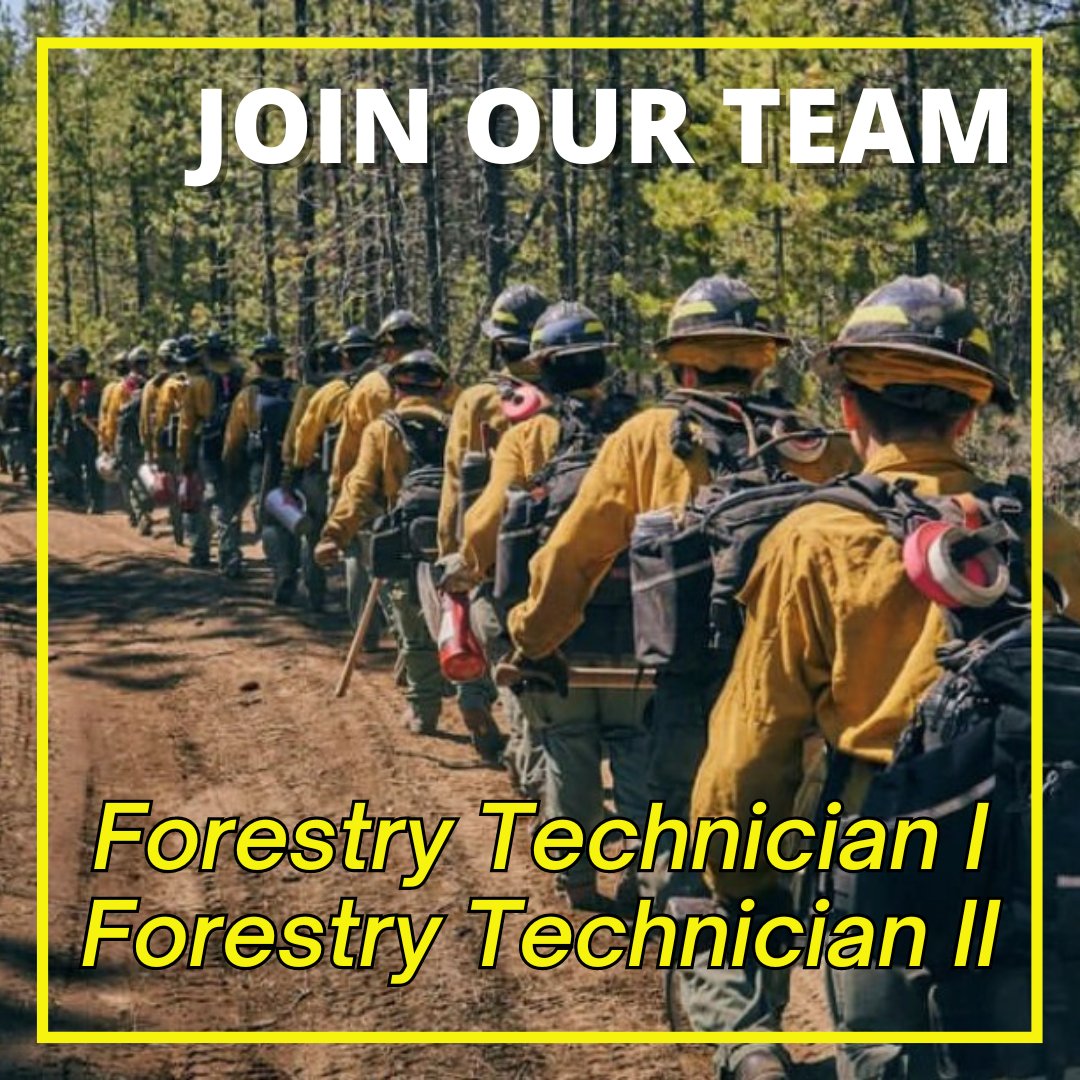 We’re hiring a Forestry Technician I and a Forestry Technician II to join our team. Come work with our Crew 30 (seasonal handcrew) for the 2024 season. Application deadline: Monday, Sept. 30, 2024, at 11:59 p.m. VIEW THE JOB DESCRIPTIONS AND APPLY: bit.ly/308FocA.
