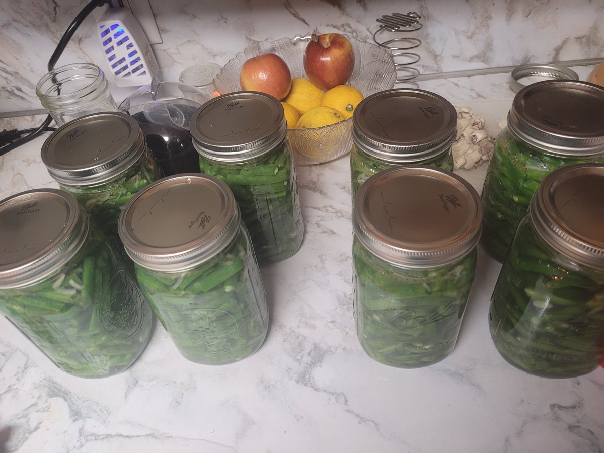 TheRedARMYRose's tweet photo. #LifeonaFarm is getting home from an 8-5 and then fixing a bunny's dislocated knee and then canning 8 jars of Green Beans.

(Yes, if the bunny survives, it will be named Kookie) https://t.co/qEYyApVpxN