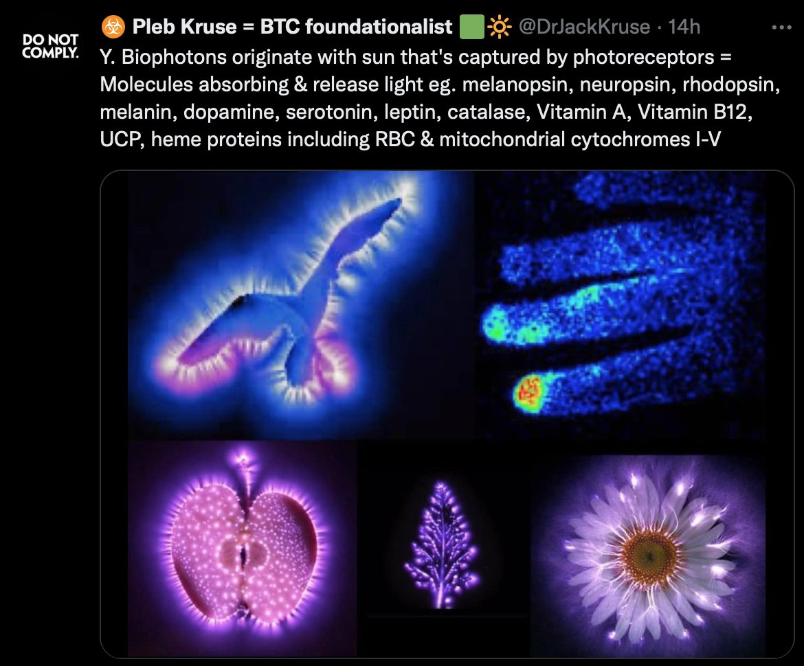 Ultraweak UV bio-photons create a specific and sensitive marker of senescence.  I believe it will be in its spectra and in intensity.  I believe all bio-photon release will provide decentralized clinicians with a cellular-light based signature making disease identification,…